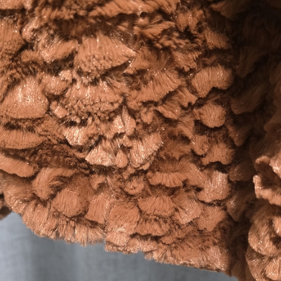 Frenchi Snuggly, chic Tan Teddy Jacket Size small - Picture 10 of 13